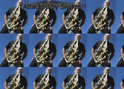 Attacked by Snakes