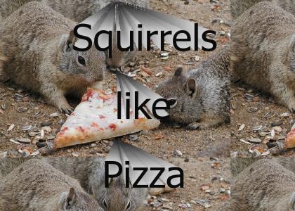 squirrely pizza