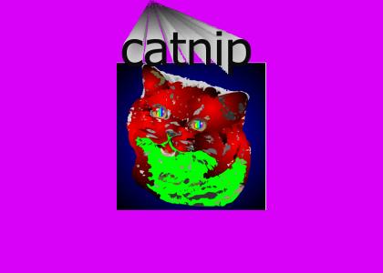 Happycat's Nip Trip