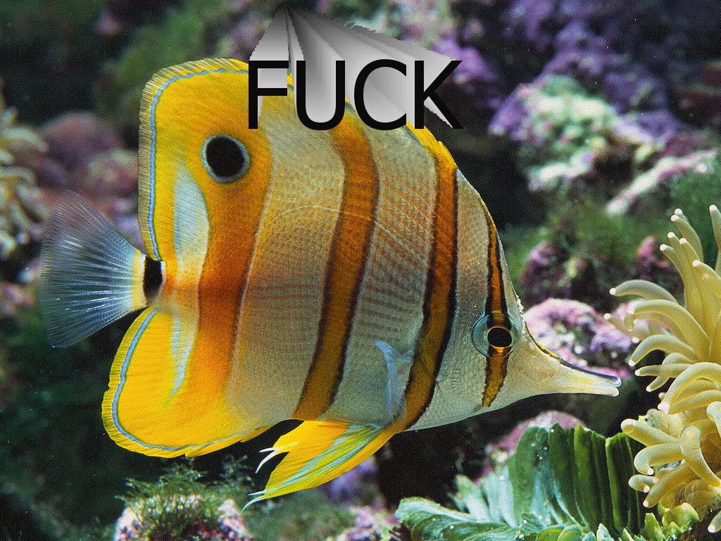 fuckfish1