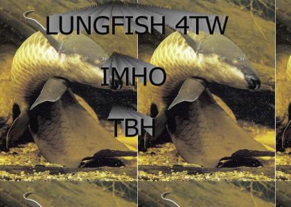 LUNGFISH 4TW IMHO TBH