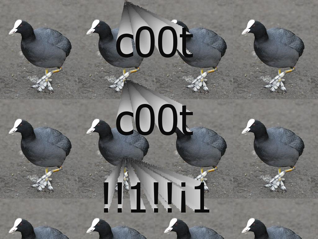 c00t