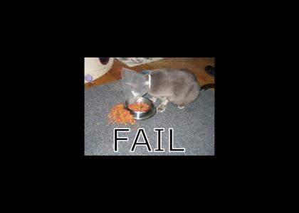 Kitty Fails At Life