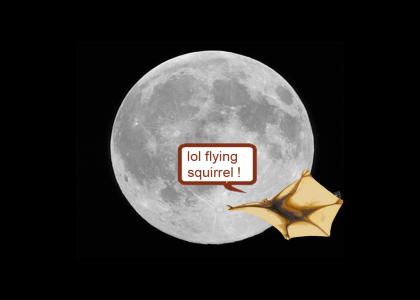 lol, Lunar flying squirrel