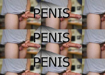 PENIS