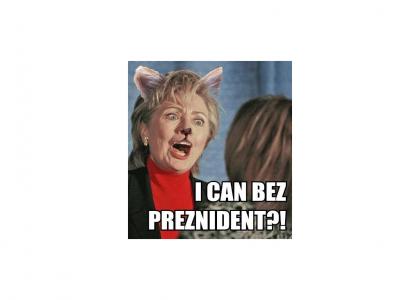 Hillary Clinton resorts to lolcat campaign advertising.