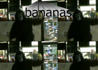 gorilla /w bananas