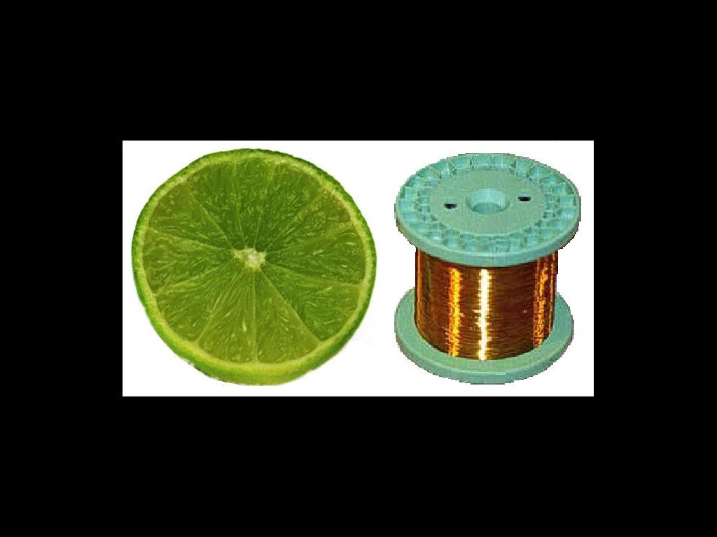 lime-wire
