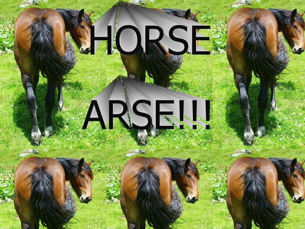 horse-arse