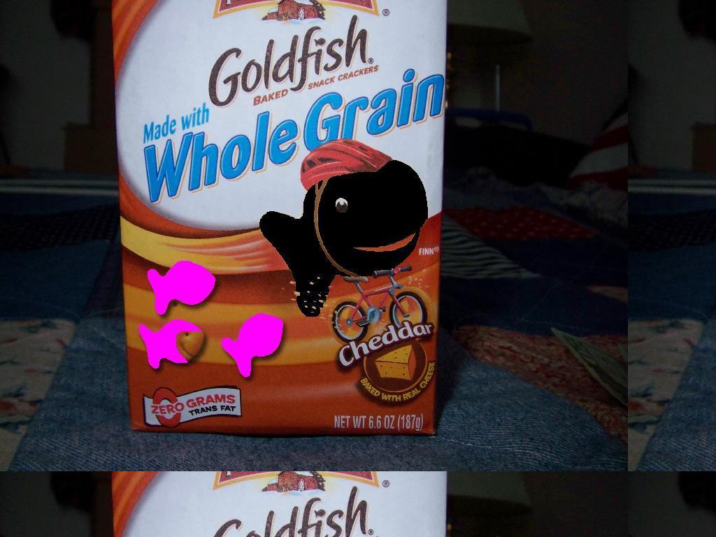 goldfishstolemybike