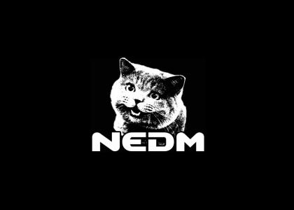 NEDM Dubstep Remix