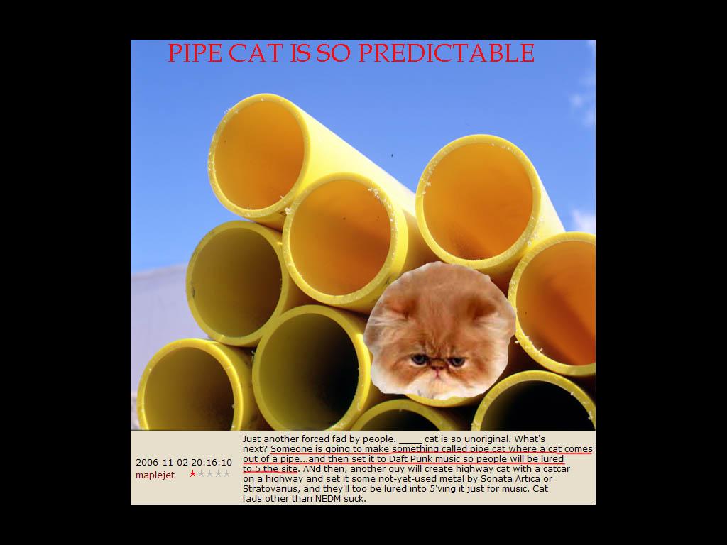 pipecatispredictable