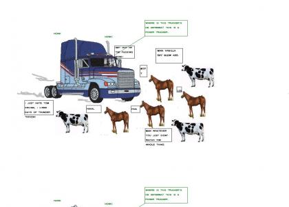 TRUCKERS AND COWS