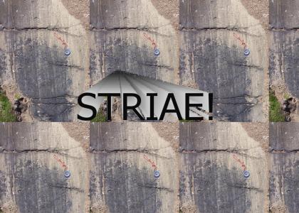 STRIAE