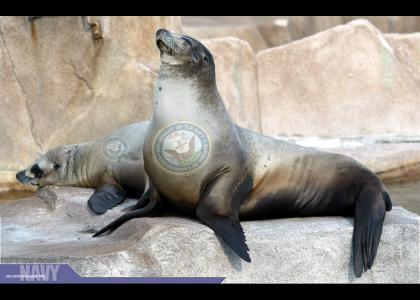 Oooh...NAVY Seals...
