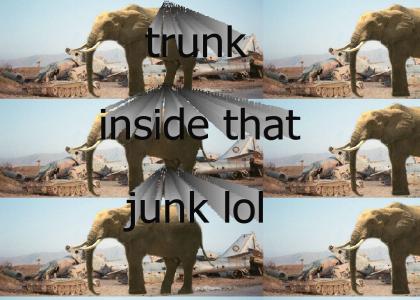 Trunk inside that Junk