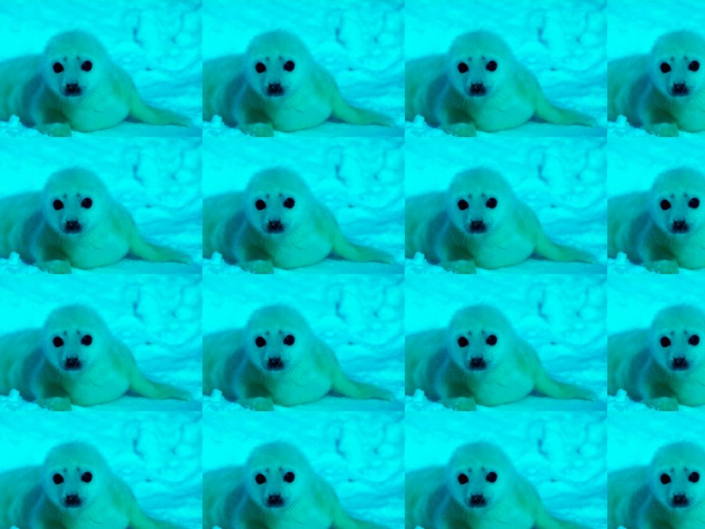 ClubbingBabySeals