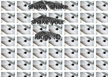 . shake your lungs