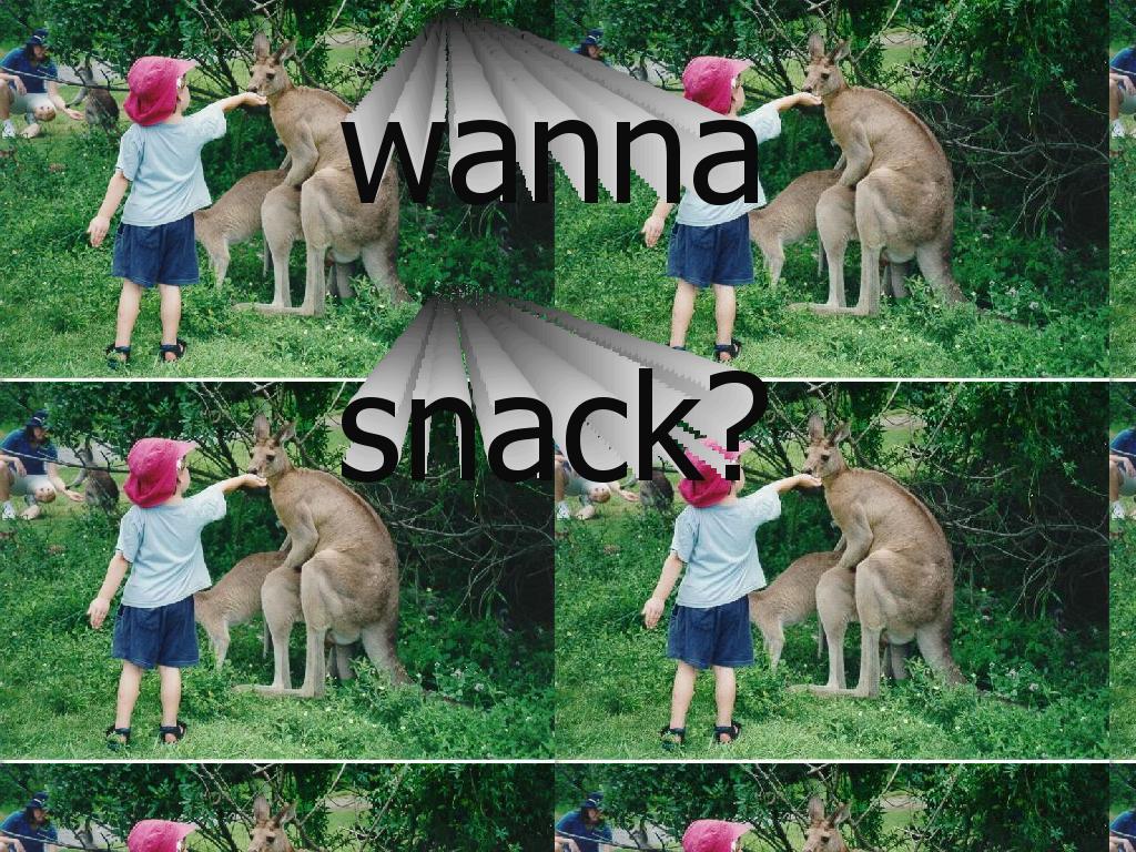 kangaroosnacktime