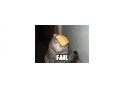 Cheese owns Fail Cat.