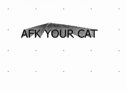 AFK YOUR CAT