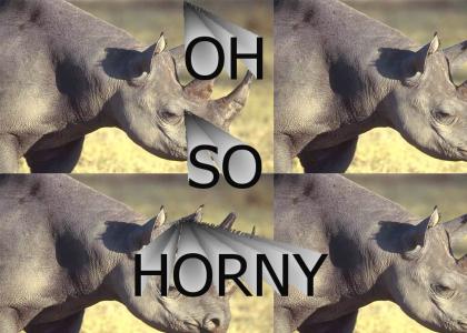 Oh, so horny.