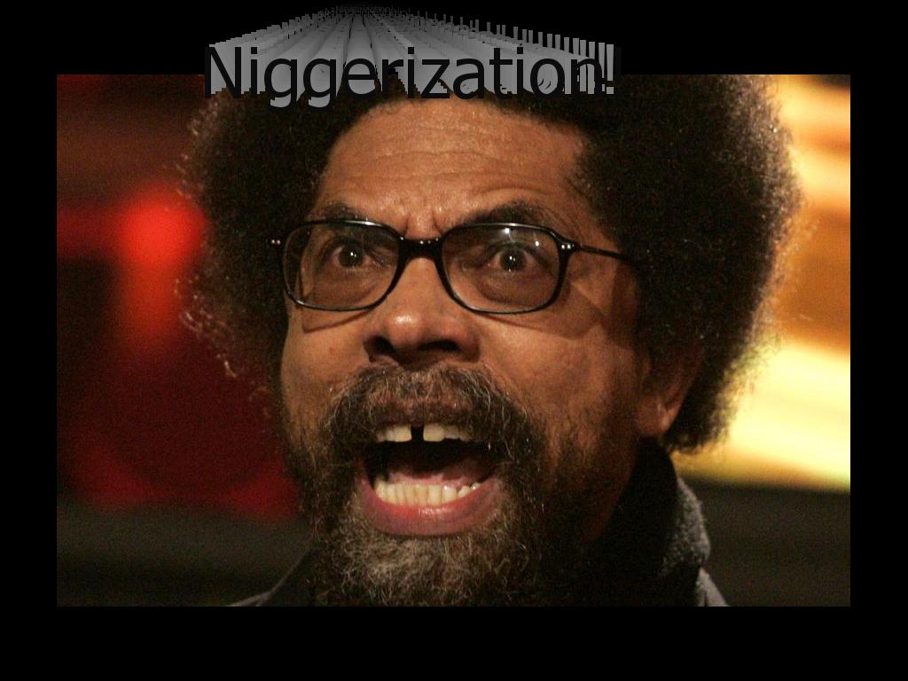 niggerization