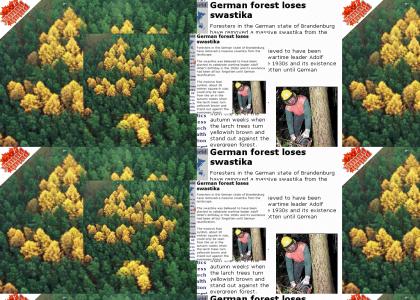 YTMNDTMND: OMG, secret nazi forest nazi forest!