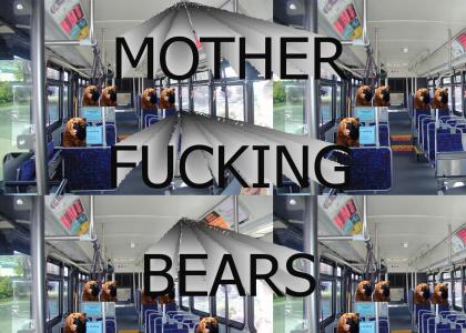 Bears on a Bus