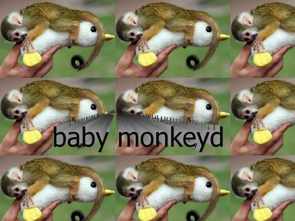 babyduckyd