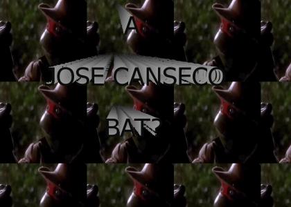a jose canseco bat?