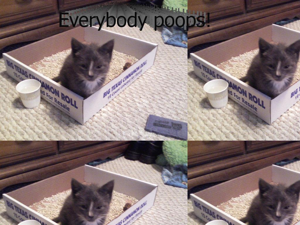 everybodypoopss