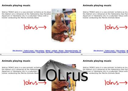 Musical LOLrus!