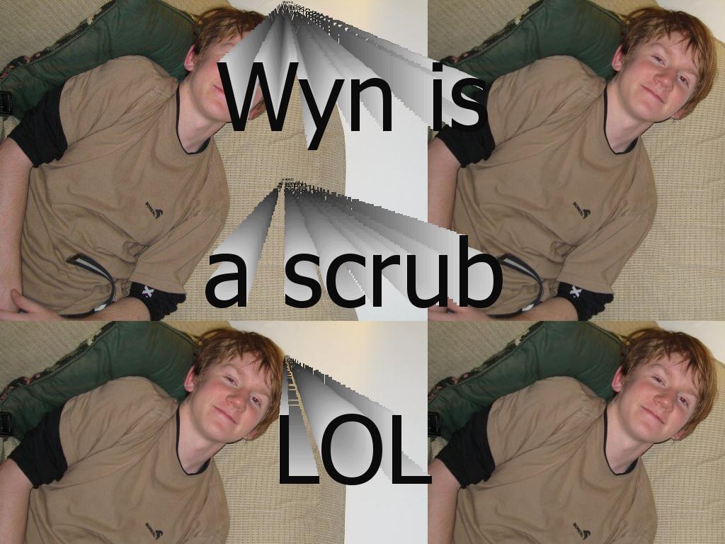 wynisascrub