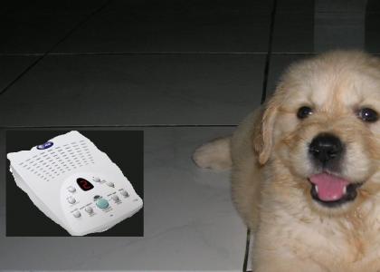 dog answering machine