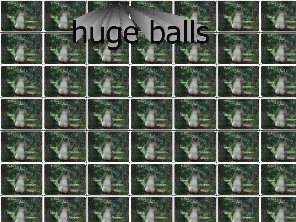 hugeracoonballs