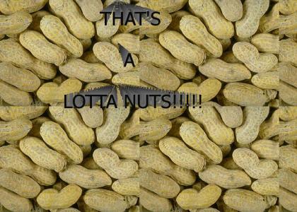 THAT'S A LOTTA NUTS