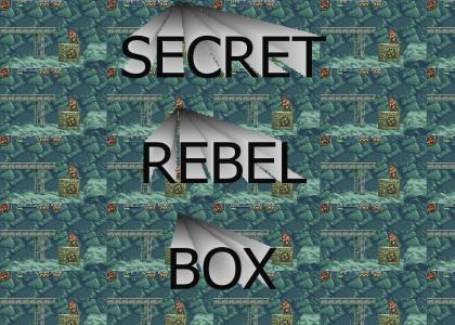 OMG, SECRET REBEL BOX !!