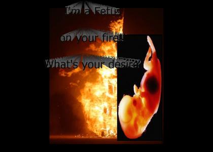I'm a Fetus on your Fire