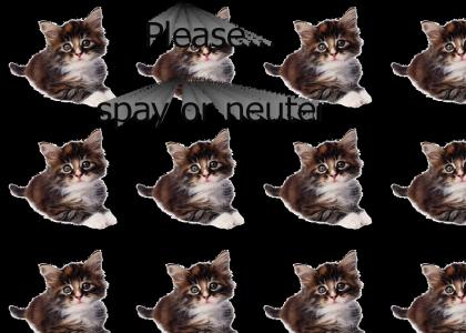 Please spay or neuter