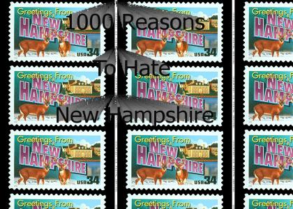 1000 Reasons To Hate New Hampshire