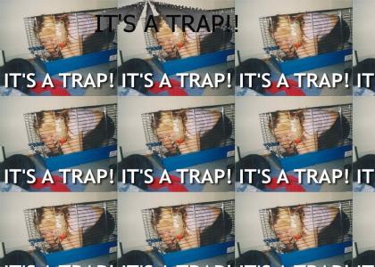 It's a trap! (dumb broad)