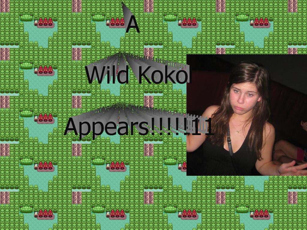 wildkokol