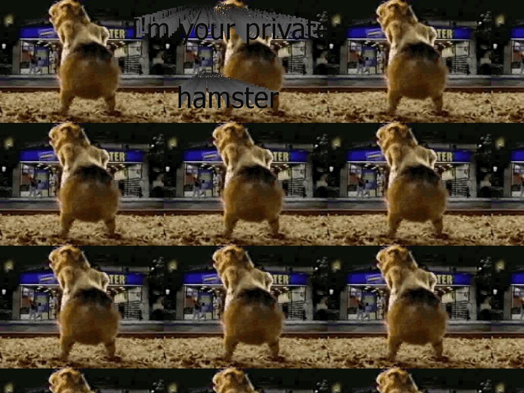 privatehamster