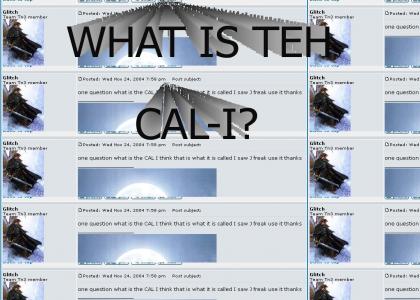 WHAT IS TEH CAL-I?