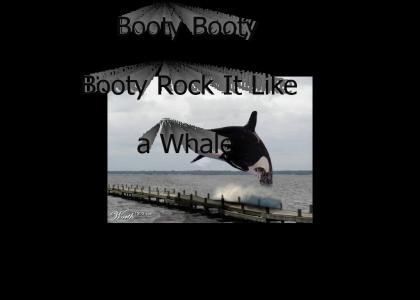 Rock It like a Whale