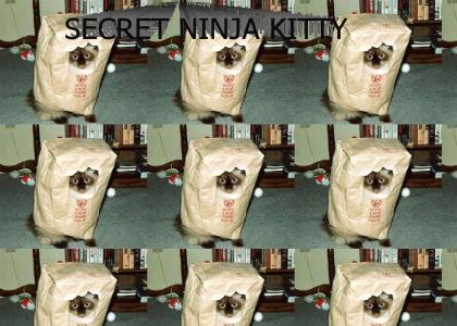 SECRET NINJA KITTY