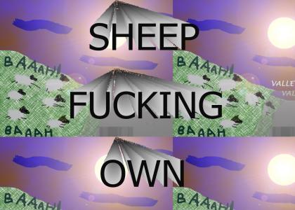 SHEEP