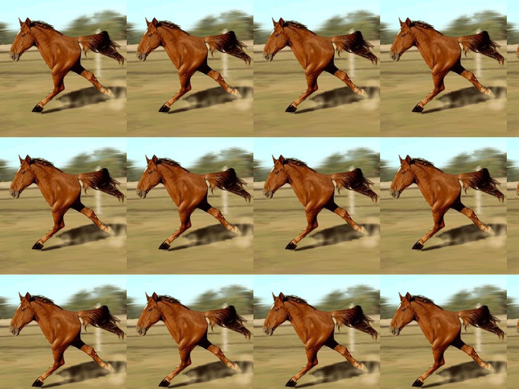 Initial-D-HORSE