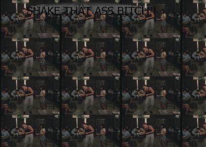 shake that ass bitch